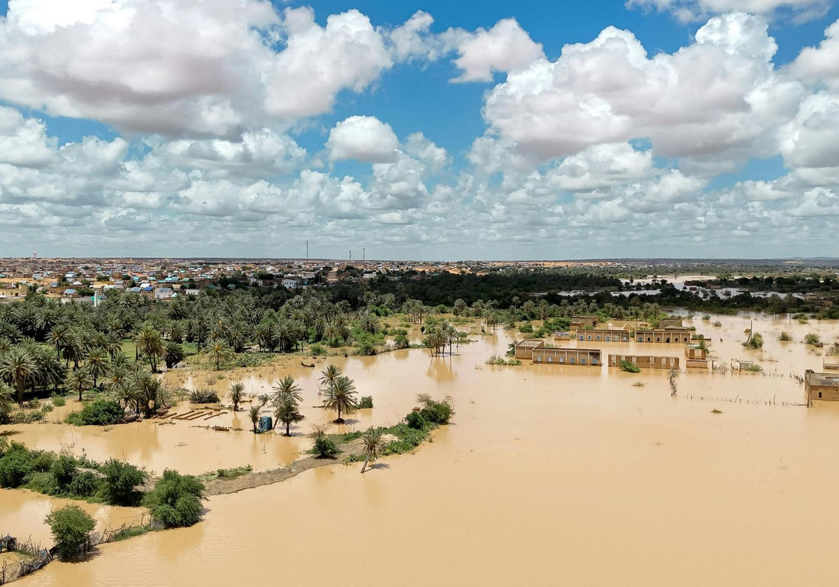 Flooded landscape with water covering a large area, surrounded by greenery and buildings.