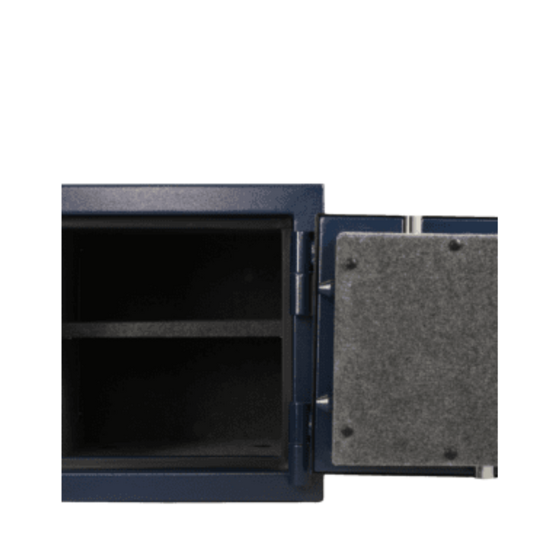 AMSEC | AM Home | 2020 | Level 7 Security | 60 Minute Fire Protection - 12 Days