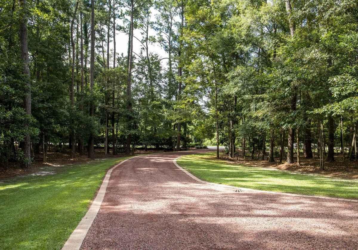 Winding road through a forest with green grass and trees